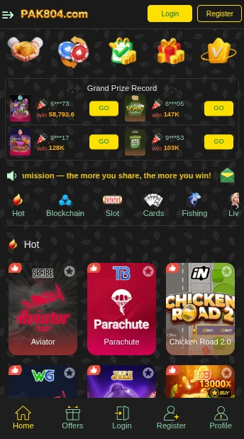 PAK804 GAME SCREENSHOT 