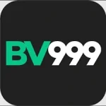 bv999-icon